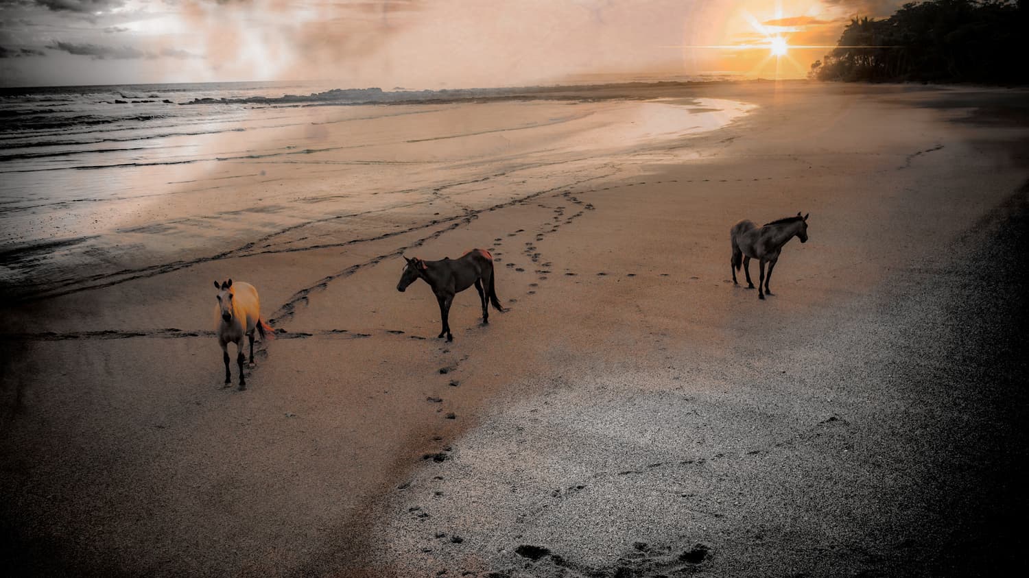 mal-país-beach-costa-rica